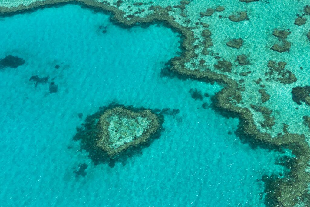 reef from above water, metaphor for vessconn maritime network